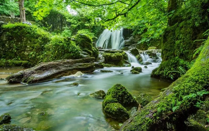稳定性先进高标准